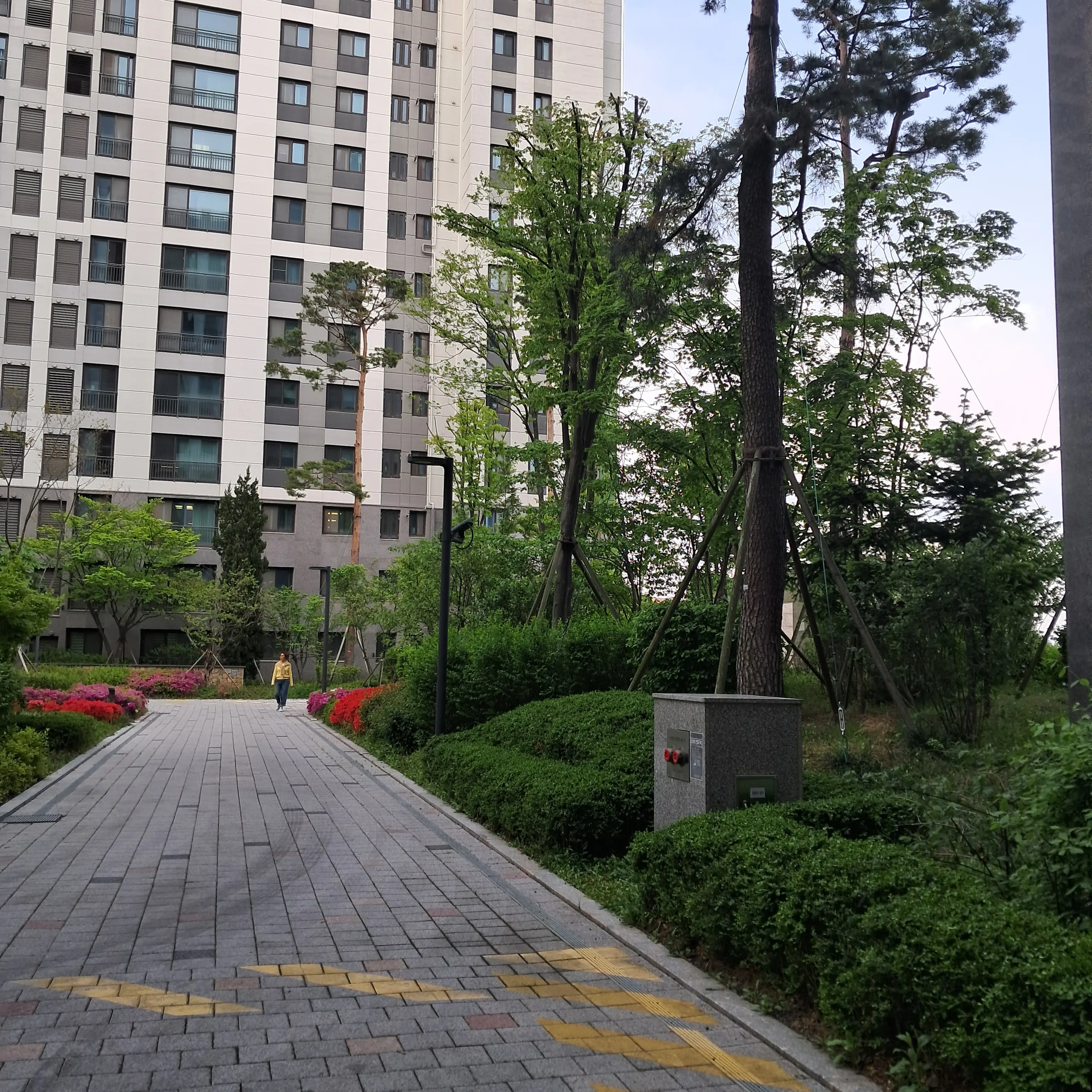 WiseTick9978의 제로베이스원(로맨스)