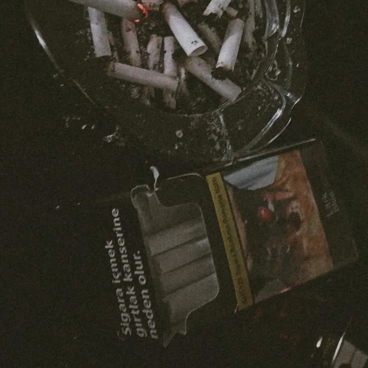 정공룡