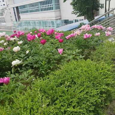 Profile image of 늑대