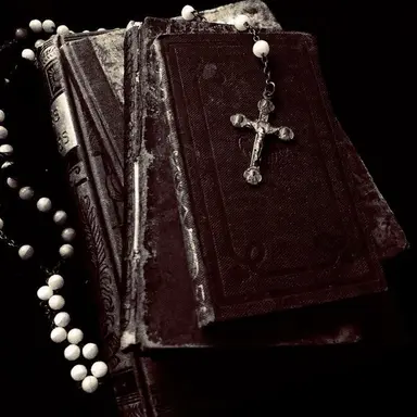 Profile image of 조이