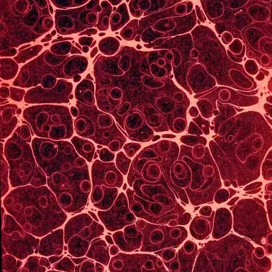 Profile image of 시우