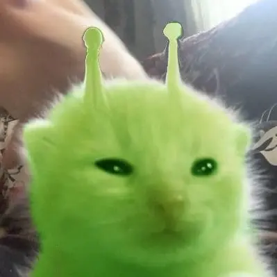 Zr7IOF의 ミ☆ 외계에서 온 왹냥이 ˚₊·
