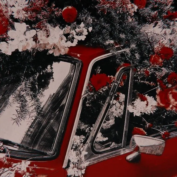 hangsing.cookie의 라더 & 공룡