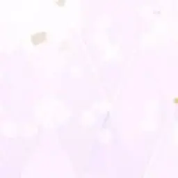 Profile image of 杏