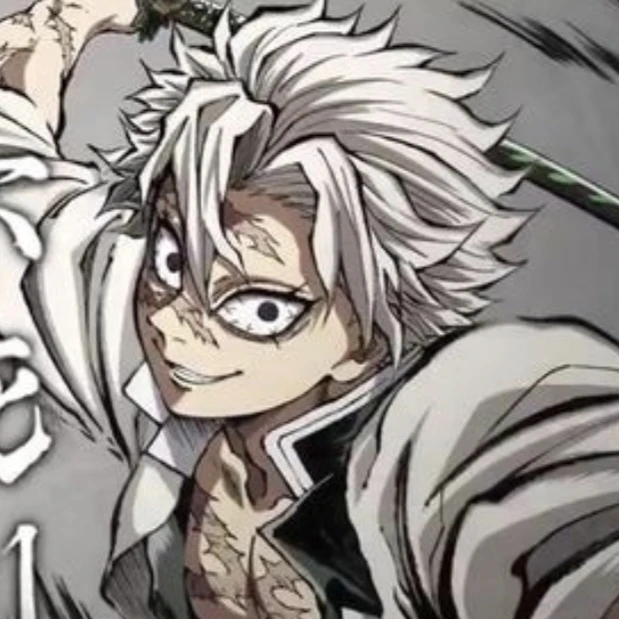 시나즈가와 사네미