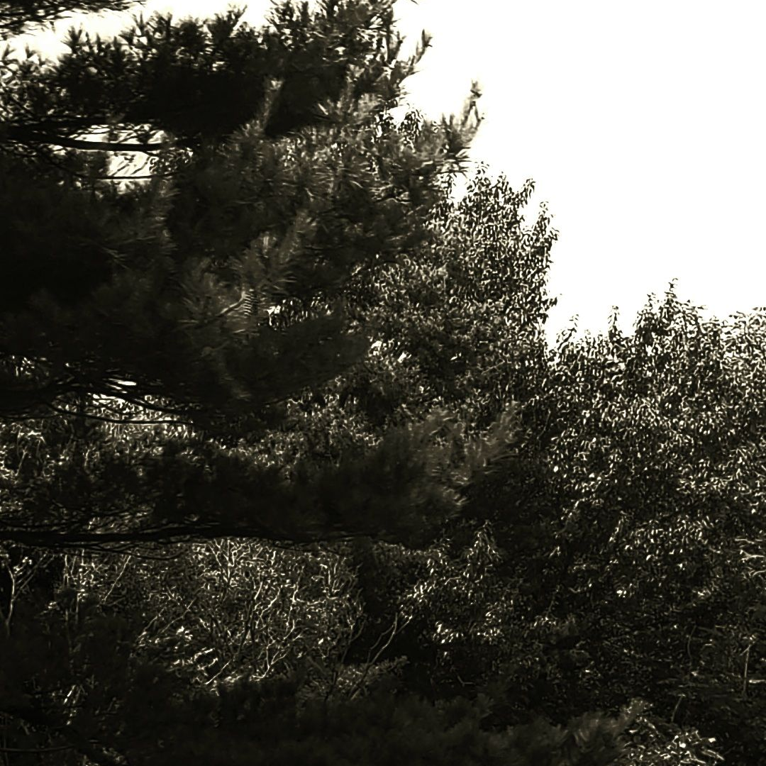 산군님의 첫사랑. 대표 이미지
