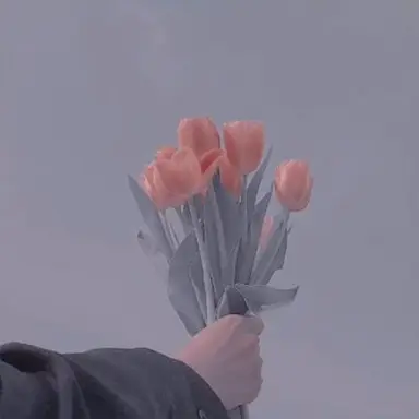 Profile image of 황수현