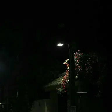 Profile image of 나루미 겐