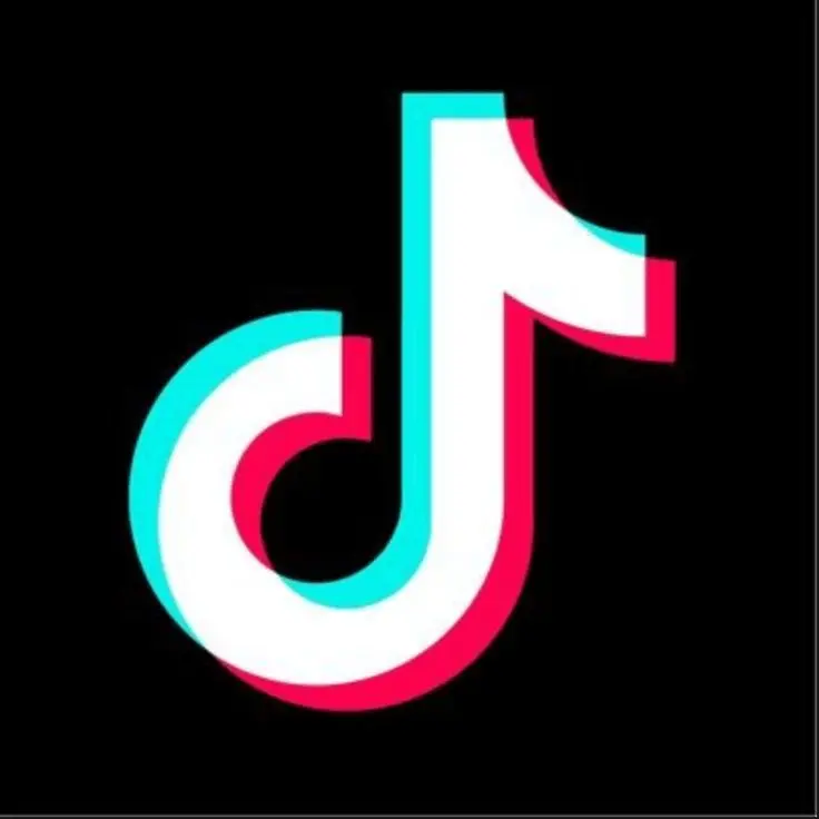 Tiktok의 틱톡