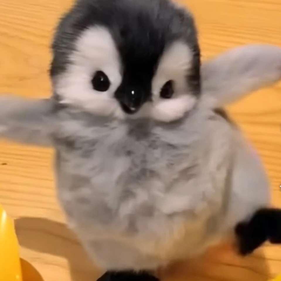 피라미드 게임