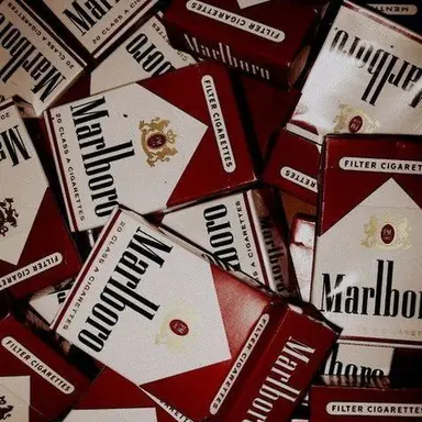 Profile image of 노엘