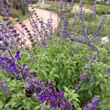 Profile image of 수현