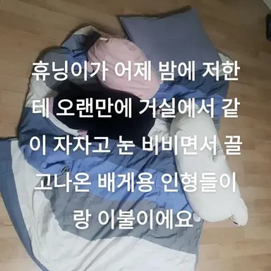 Profile image of ㅅㅎ