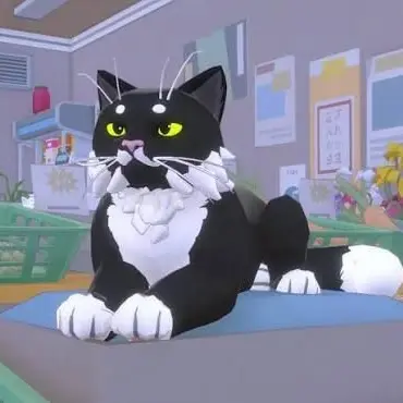 Profile image of Mayor cat