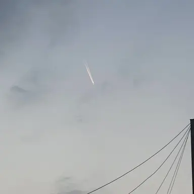 Profile image of 프라이드