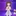 위플레이