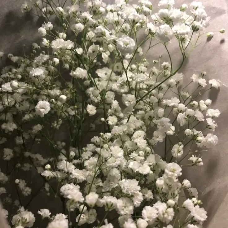 SmugNail9969의 ...........