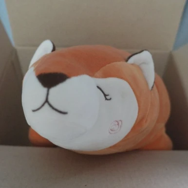 콩콩이