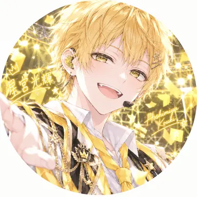 Profile image of 星宮光輝