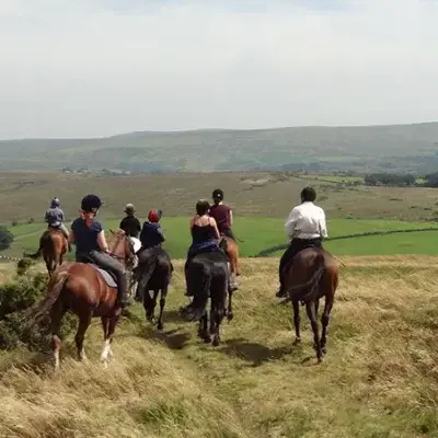 SafeAnime3292의 Wessex Riding School