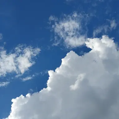 Profile image of user