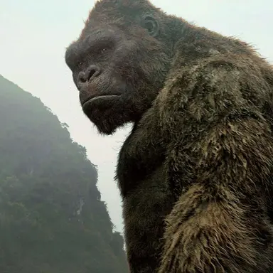 Profile image of 콩