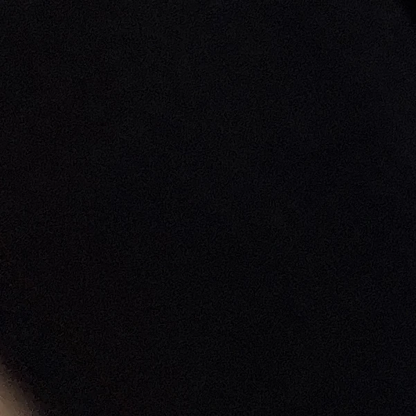 슬기
