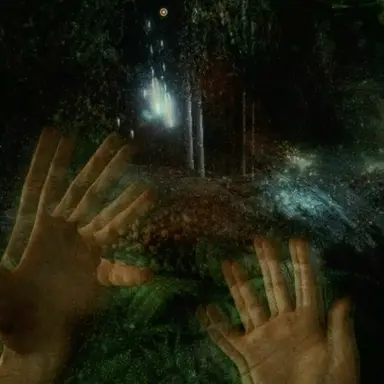 Profile image of 백수연