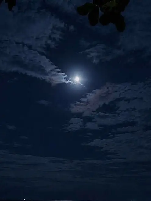 farawaytimes의 Late Night Out
