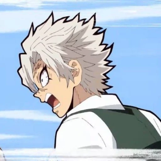 시나즈가와 사네미