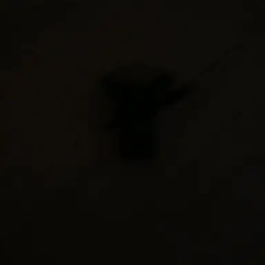Profile image of 어계공