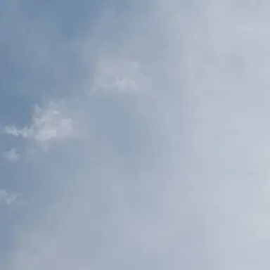 Profile image of 과학쌤