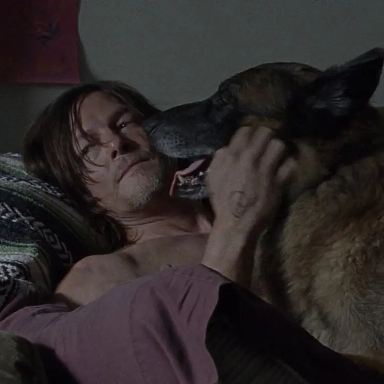 StubbyThumb4168의 daryl dixon