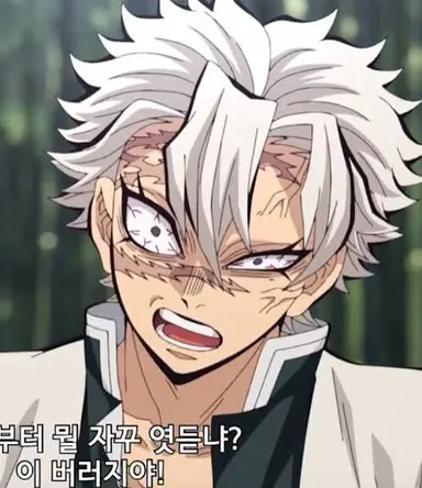 Profile image of 시나즈가와 사네미