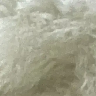 PoeticTrout5783의 Storm with the Kaiser