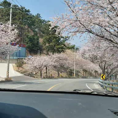 Profile image of 이창민