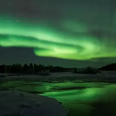 Profile image of 파크모