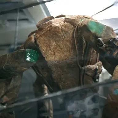 Profile image of Rocky