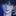 도류준