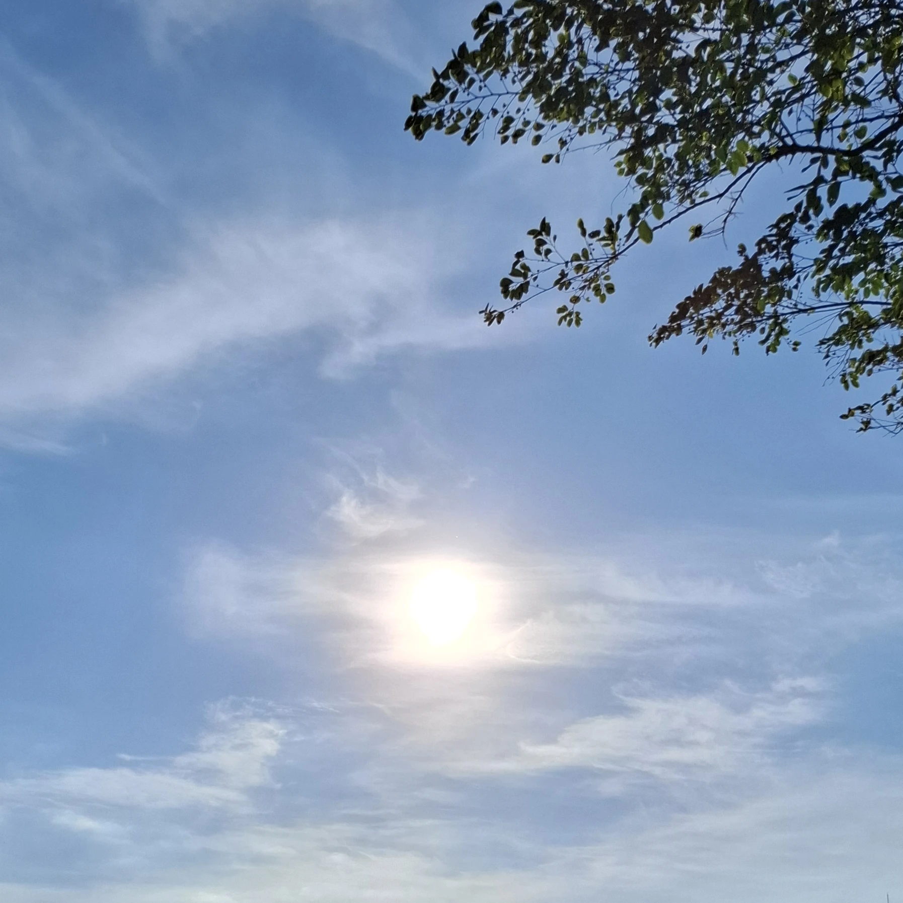 과거