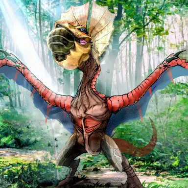 Profile image of クック先生