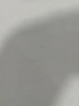 BoringSnore4299의 イタ王が甘えてきた件