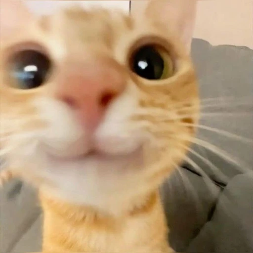 공감이