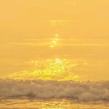 Profile image of 퓨어바닐라