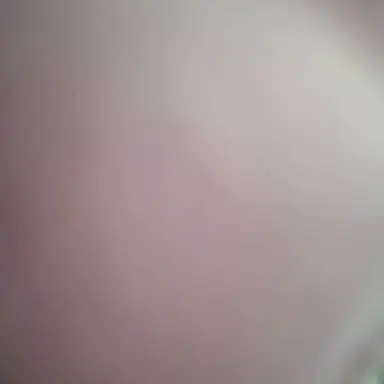 Profile image of 리리