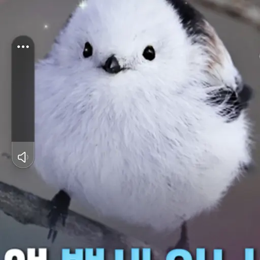 Bapsae의 뱁새