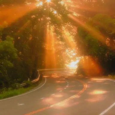 Profile image of 박덕개.