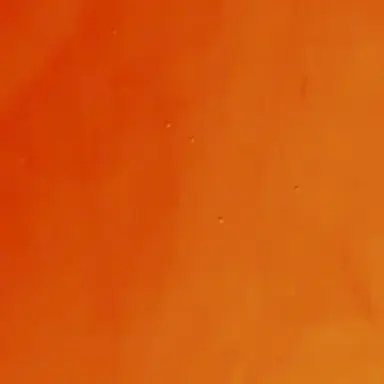 Profile image of くにお