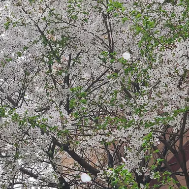 Profile image of 유저