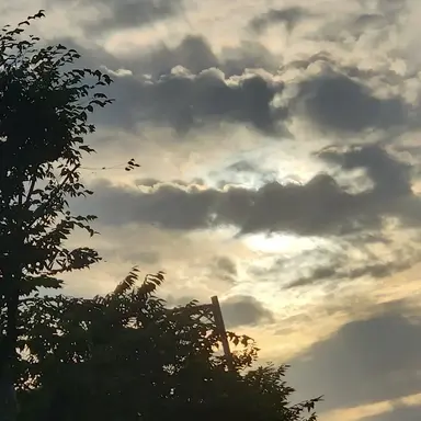 Profile image of 연이